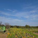 애화꽃식물원 밑 도로 | [나주 2025 국제농업박람회] 10/26(일) 방문 후기!