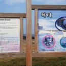 월정체육관 이미지