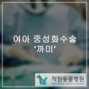 금호동물병원 이미지