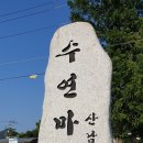 청등 경로당 Daum카페