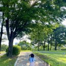 서부게이트볼장 이미지