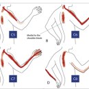 내마음엔척의원 이미지