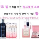 미르안전