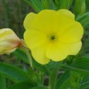 금은농장 이미지