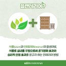 푸른에너지 네이버블로그