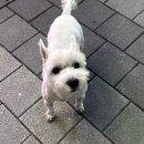 유성365약국 이미지