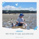 이마트24태안몽산포중앙점 | 태안 아이랑 몽산포해수욕장｜갯벌 체험, 바다 수영, 주차, 추천 맛집까지 생생 후기