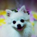 우리코코