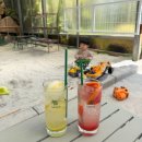 대동 | 김해 카페대동숲 후기, 부산에서 가까운 아이랑 가기 좋은 카페