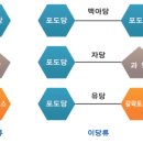 피티무브웰 이미지