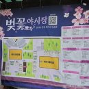 (주)가야공원집 | 2026 군산 은파호수공원 벚꽃야시장 먹거리 즐기고 온 솔직후기[군산벚꽃놀이]