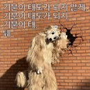 아가파의원 이미지