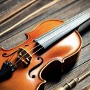 대선초등학교 이미지