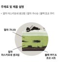 춘천 투썸 떠먹는 말차 아박, 구운 밤 라떼 내돈내산 솔직후기