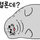 광교카페거리 이미지