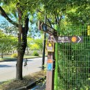 송정동 동해역 철길 담장 | 해파랑길 33코스 추암해변-촛대바위-한섬해변-묵호역 여행기록
