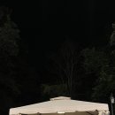 해피포레스트
