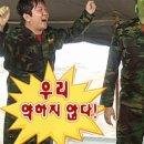 시흥탑애견미용학원 네이버블로그