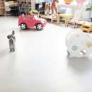 한강펫케어센터 이미지