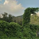 일봉농장 이미지