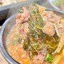 바른농원 | 대구 죽전동 고기집 토종생오리농원 복날 몸보신맛집 제대로 한 후기