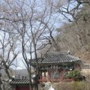 광제정 | 매당 양돈(楊敦)의 임실 광제정(光霽亭)