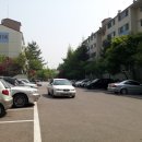 분당-313 이미지