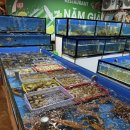 비치식당 | 호이안 해산물 식당 남자 해산물 식당 안방비치 오션뷰 찐맛집 후기