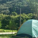 상소오토캠핑장 | 대전상소오토캠핑장 E14 사이트 후기