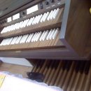 바이올린(중급) 이미지