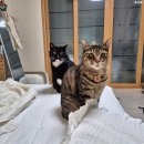 대원화로 | 2025년 10월 주간일상 3.