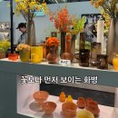 더츠컬렉션
