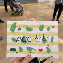 레드 올랜더스 Red Oleanders (붉은 협죽도 꽃) | ACC 산책, ACC소개 (광주 국립 아시아 문화 전당에서 놀기, 광주충장로에서 갈만한곳, acc 북라운지 추천)