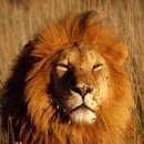 간지헤어 이미지