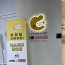 울산소아치과 송정봄소아치과 아기첫구강검진,불소도포 내돈내산후기