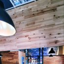 033당구장 이미지