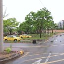 삼일자동차운전전문학원 | 운전 실력 UP! 천안 운전면허학원 신안동 방문 시내운전연수 삼일운전면허학원: 후기 솔직하게 들려...