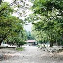에델바이스민박 이미지