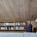 솔레올레 이미지