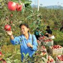 병진농장 이미지