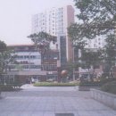 경기도 수원시 영통구 영통로 이미지