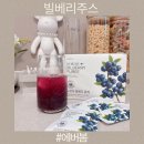 노르딕 | 핀란드산 빌베리주스 에버봄 노르딕 빌베리퓨레 후기