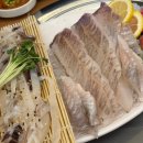 서초세꼬시 | 강남역 횟집 추천｜속초오징어어시장 강남 서초점 산오징어회 후기
