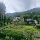 강애산애 이미지