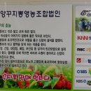 밀양꾸지뽕 영농조합법인 이미지