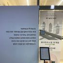 양주 덕계 미용실 헤어하우스앤 - 봄웜 브라이트 톤다운 염색