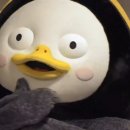 타이거피자 이미지