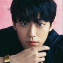 댕댕 하우스 이미지