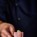 골드참치 이미지