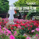 면목동-137 | 서울 5월 꽃축제 가볼만한곳 중랑서울장미축제 일정 프로그램 실시간 개화 상황